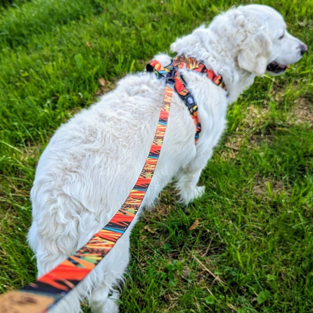 Laisse pour chien Tropical