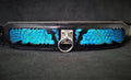 The ''Morelia Python'' collar